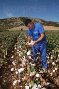 ΛΑΡΙΣΑ: ΣΥΓΚΟΜΙΔΗ ΒΑΜΒΑΚΙΟΥ