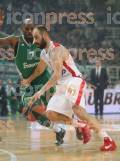 ΠΑΝΑΘΗΝΑΙΚΟΣ ΟΛΥΜΠΙΑΚΟΣ ΑΓΩΝΙΣΤΙΚΗ BASKET LEAGUE