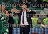 ΠΑΝΑΘΗΝΑΙΚΟΣ ΟΛΥΜΠΙΑΚΟΣ ΑΓΩΝΙΣΤΙΚΗ BASKET LEAGUE