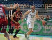 ΠΑΝΑΘΗΝΑΙΚΟΣ ΤΡΙΚΑΛΑ ΑΓΩΝΙΣΤΙΚΗ BASKET LEAGUE