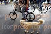 21oς ΠΟΔΗΛΑΤΙΚΟΣ ΓΥΡΟΣ ΑΘΗΝΑΣ ΑΦΙΕΡΩΜΕΝΟΣ