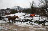 ΠΕΡΙΟΧΗ ΑΣΠΡΟΠΟΤΑΜΟΥ ΝΟΜΟ ΤΡΙΚΑΛΩΝ