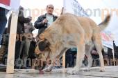 ΑΘΗΝΑ ΠΑΝΥΓΕΙΟΝΟΜΙΚΟ ΣΥΛΛΑΛΗΤΗΡΙΟ