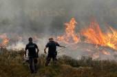 ΜΕΓΑΛΗ ΠΥΡΚΑΓΙΑ ΣΤΟΝ ΒΑΡΝΑΒΑ ΑΤΤΙΚΗΣ