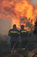 ΜΕΓΑΛΗ ΠΥΡΚΑΓΙΑ ΣΤΟΝ ΒΑΡΝΑΒΑ ΑΤΤΙΚΗΣ