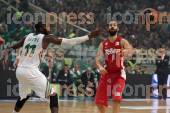 ΠΑΝΑΘΗΝΑΪΚΟΣ ΟΛΥΜΠΙΑΚΟΣ ΑΓΩΝΙΣΤΙΚΗ BASKET LEAGUE