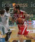 ΠΑΝΑΘΗΝΑΪΚΟΣ ΟΛΥΜΠΙΑΚΟΣ ΑΓΩΝΙΣΤΙΚΗ BASKET LEAGUE