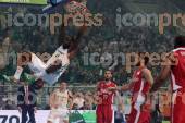 ΠΑΝΑΘΗΝΑΪΚΟΣ ΟΛΥΜΠΙΑΚΟΣ ΑΓΩΝΙΣΤΙΚΗ BASKET LEAGUE