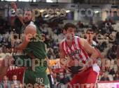 ΟΛΥΜΠΙΑΚΟΣ ΚΑΟΔ ΑΓΩΝΙΣΤΙΚΗ BASKET LEAGUE