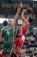 ΟΛΥΜΠΙΑΚΟΣ ΚΑΟΔ ΑΓΩΝΙΣΤΙΚΗ BASKET LEAGUE