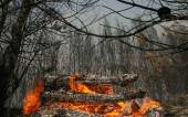 ΤΡΙΤΗ ΗΜΕΡΑ ΚΑΤΑΣΤΡΟΦΙΚΩΝ ΠΥΡΚΑΓΙΩΝ ΣΤΗΝ