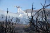 ΠΥΡΚΑΓΙΑ ΔΑΣΙΚΗ ΠΕΡΙΟΧΗ ΣΤΟΝ ΜΑΡΑΘΩΝΑ