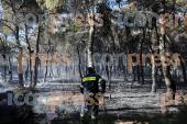 ΜΑΧΗ ΠΥΡΟΣΒΕΣΤΩΝ ΠΟΛΙΤΩΝ ΘΕΣΟΥΝ ΕΛΕΓΧΟ