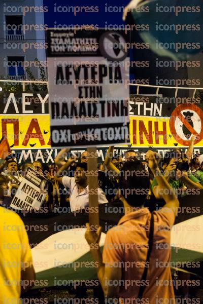 ΣΥΓΚΕΝΤΡΩΣΗ-ΔΙΑΜΑΡΤΥΡΙΑΣ-ΓΑΖΑ-ΣΥΝΤΑΓΜΑ-45