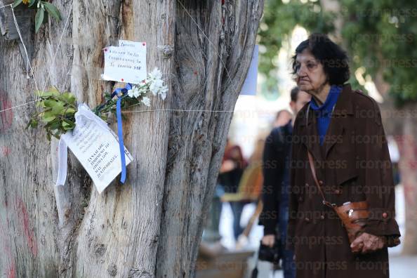 ΛΙΓΑ-ΛΟΥΛΟΥΔΙΑ-ΔΕΝΔΡΟ-ΠΛΑΤΕΙΑΣ-ΣΥΝΤΑΓΜΑΤΟΣ-1