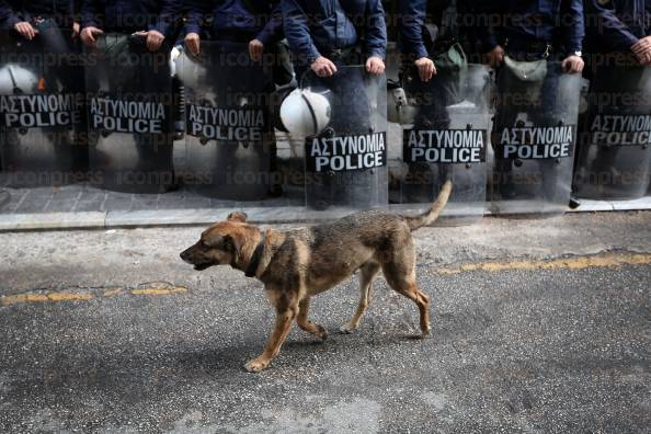 ΔΙΑΜΑΡΤΥΡΙΑ-ΑΠΟΛΥΜΕΝΩΝ-ΚΑΘΑΡΙΣΤΡΙΩΝ-ΥΠΟΥΡΓΕΙΟ-ΟΙΚΟΝΟΜΙΚΩΝ-5