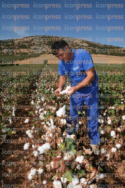 ΛΑΡΙΣΑ:-ΣΥΓΚΟΜΙΔΗ-ΒΑΜΒΑΚΙΟΥ-30