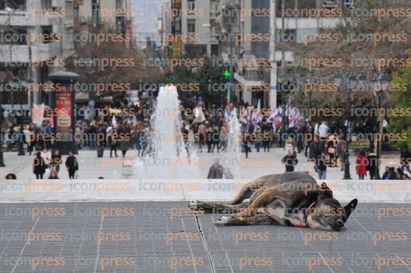 ΑΘΗΝΑ-ΠΑΝΥΓΕΙΟΝΟΜΙΚΟ-ΣΥΛΛΑΛΗΤΗΡΙΟ-12