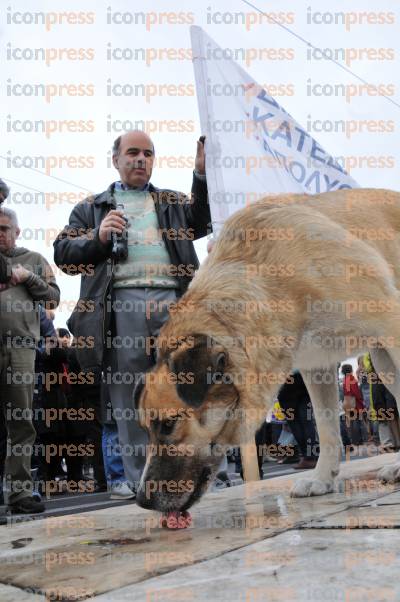 ΑΘΗΝΑ-ΠΑΝΥΓΕΙΟΝΟΜΙΚΟ-ΣΥΛΛΑΛΗΤΗΡΙΟ-15