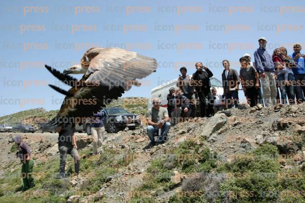 ΑΠΕΛΕΥΘΕΡΩΣΗ-ΓΥΠΩΝ-ΓΕΡΑΚΙΝΩΝ-ΟΡΟΣ-ΚΟΦΙΝΟΣ-2