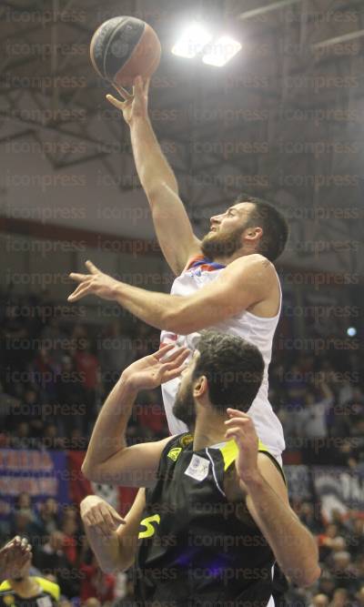 ΠΑΝΙΩΝΙΟΣ-ΗΛΥΣΙΑΚΟΣ-ΑΓΩΝΙΣΤΙΚΗ-BASKET-LEAGUE-8