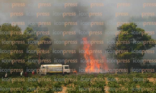 ΤΡΙΤΗ-ΗΜΕΡΑ-ΚΑΤΑΣΤΡΟΦΙΚΩΝ-ΠΥΡΚΑΓΙΩΝ-ΣΤΗΝ