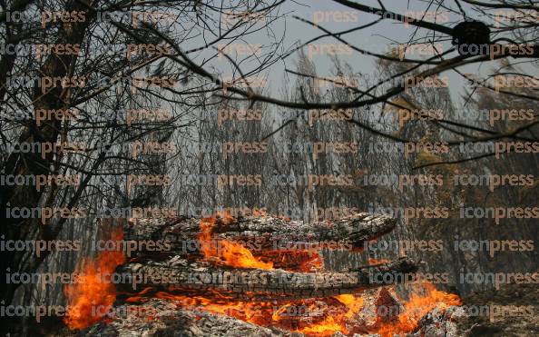 ΤΡΙΤΗ-ΗΜΕΡΑ-ΚΑΤΑΣΤΡΟΦΙΚΩΝ-ΠΥΡΚΑΓΙΩΝ-ΣΤΗΝ