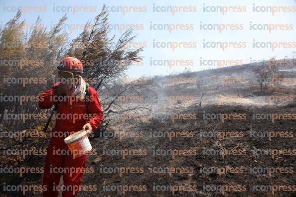 ΤΡΙΤΗ-ΗΜΕΡΑ-ΚΑΤΑΣΤΡΟΦΙΚΩΝ-ΠΥΡΚΑΓΙΩΝ-ΣΤΗΝ-23