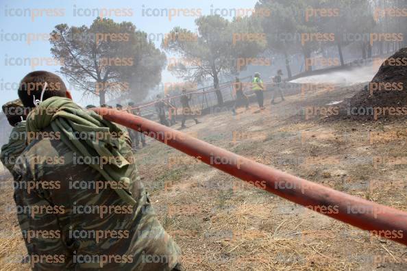 ΤΡΙΤΗ-ΗΜΕΡΑ-ΚΑΤΑΣΤΡΟΦΙΚΩΝ-ΠΥΡΚΑΓΙΩΝ-ΣΤΗΝ-40