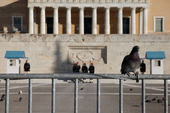 ΠΟΡΕΙΑ-ΔΙΑΜΑΡΤΥΡΙΑΣ-ΦΟΙΤΗΤΩΝ-10