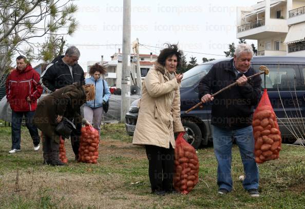 ΔΙΑΝΟΜΗ-ΠΑΤΑΤΑΣ-ΝΕΥΡΟΚΟΠΙΟΥ-ΣΤΗΝ-ΚΗΦΙΣΙΑ