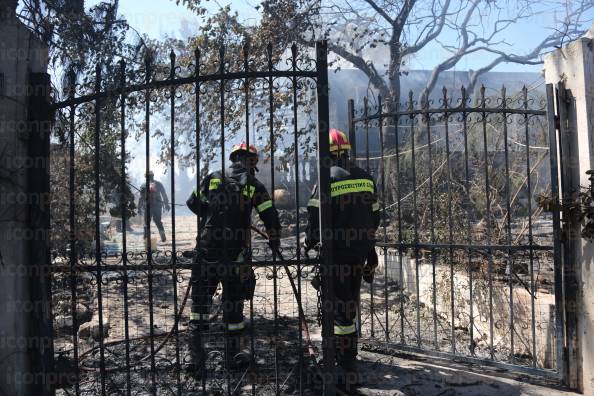 ΠΥΡΚΑΓΙΑ-ΔΑΣΙΚΗ-ΠΕΡΙΟΧΗ-ΣΤΟΝ-ΜΑΡΑΘΩΝΑ-21